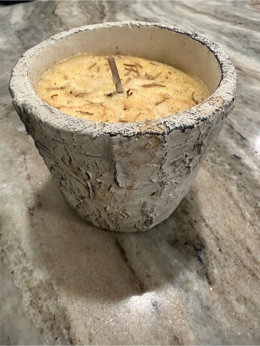 Rustic Birch Pot Soy Candle - Cream